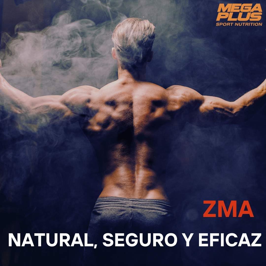 ZMA - Imagen 5