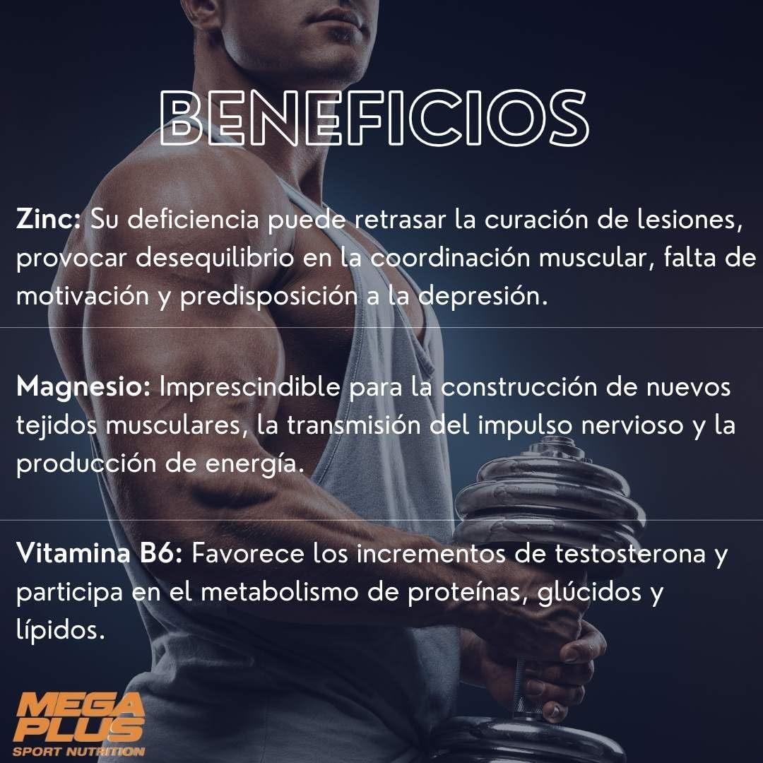 ZMA - Imagen 7