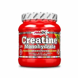 CREATINE MONOHYDRATE MICRONIZED 300G Amix