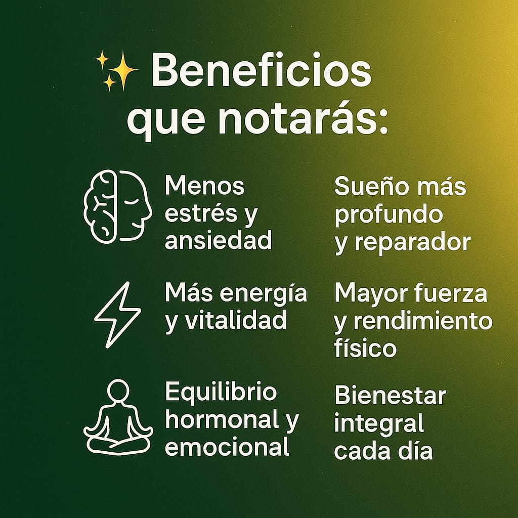 Perfect Ashwagandha KSM-66® 1000 mg | Adaptógeno para Estrés, Energía y Rendimiento Mental | Salud Natural - Imagen 4