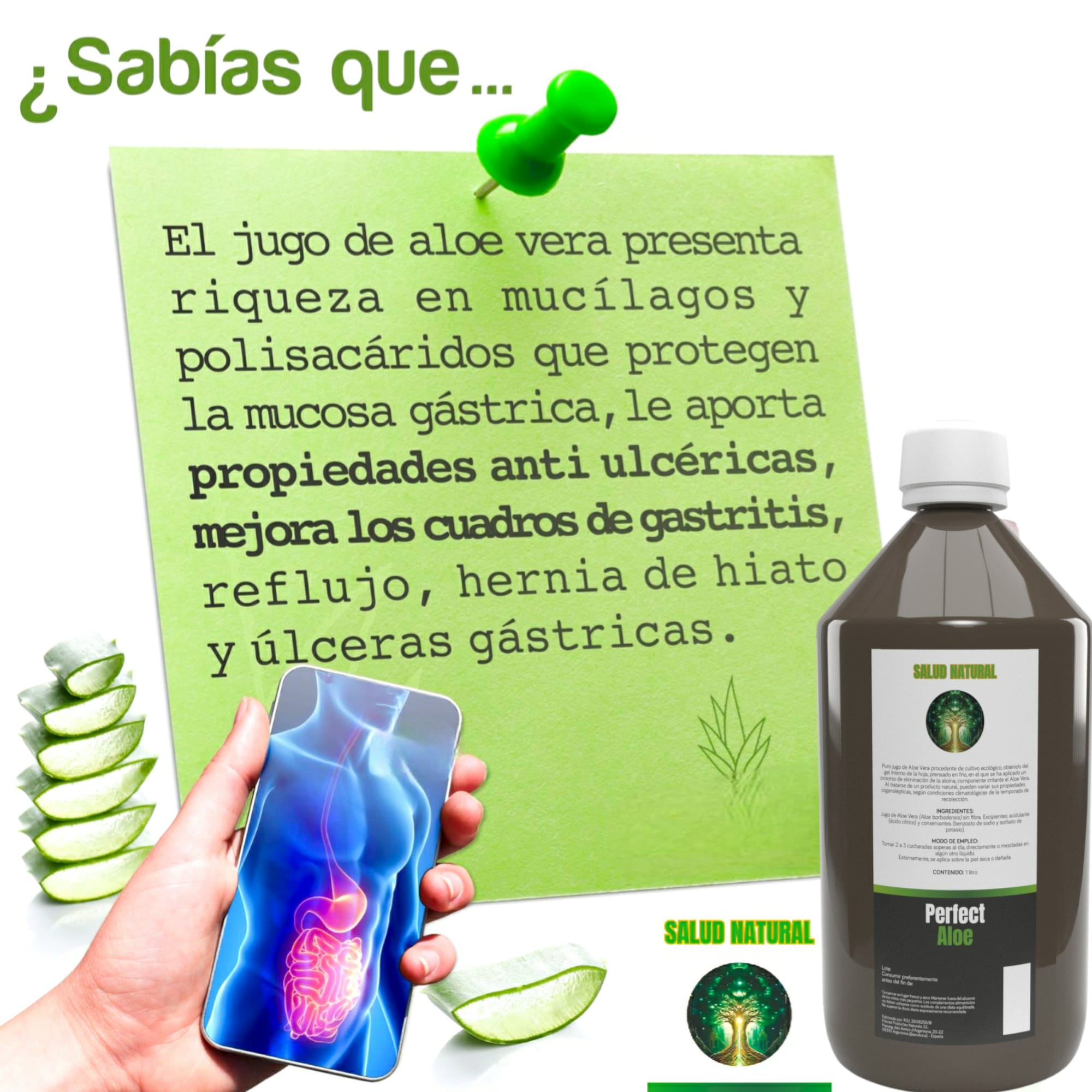 Jugo de Aloe ecológico Perfect Aloe Salud Natural 1000ml - Imagen 4