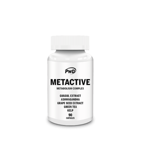 METACTIVE