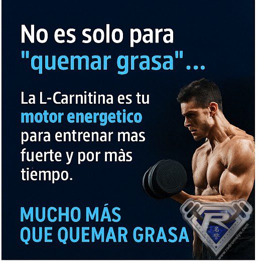 CARNITINA CARNIPURE PERFECT CARNITINE SALUD NATURAL - Imagen 6